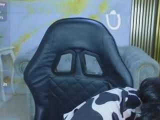 Babi-s's cam show statistics and live stream