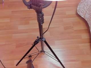 melodyprice