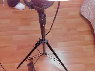 melodyprice