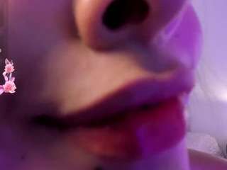 melodyprice