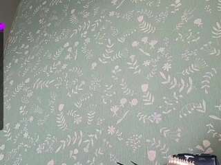 RevaLaflin