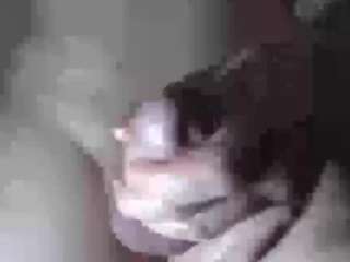 01elnene01