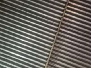 carolinacoleman26