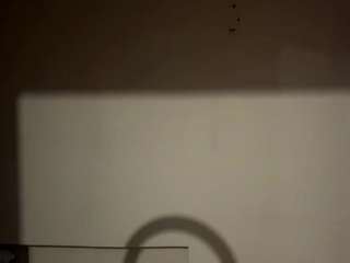 clarisgropp