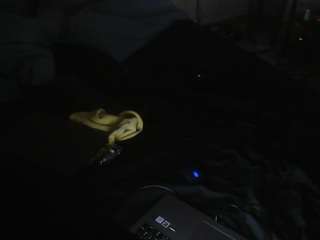 Live cam show with kulprit30
