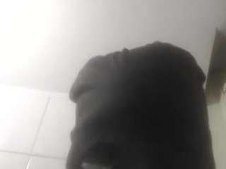 PremLiveStar