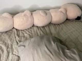 molliepolich