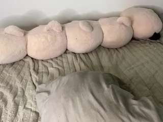molliepolich