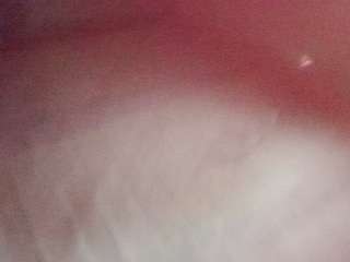 ozzyasset