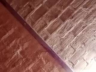 ozzyAsset