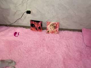tammeraberends Sex Cam Show
