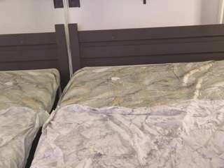 soffa-mitchelll