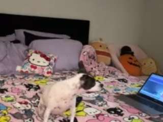 angelmariee Sex Cam Show