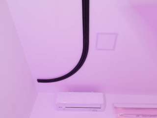malaia-thompson Sex Cam Show
