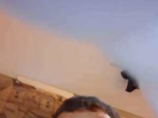 dickemdwndave
