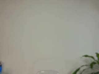 jessey-adams live cam preview