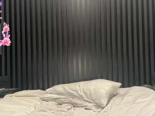 Vernice live cam preview