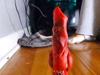 edgewuff