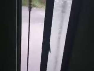 arceohot