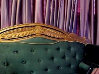 electra-fg live webcam show