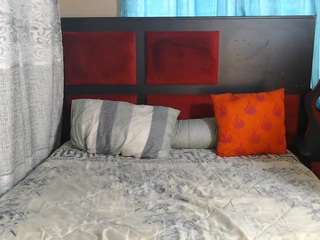lavenda01