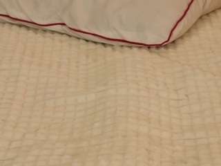 cassandracaprice