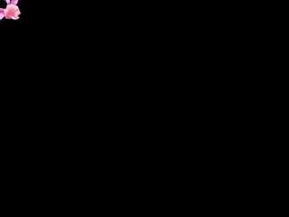 sara-core
