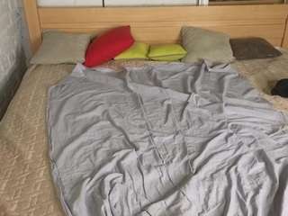 Fox-Cuteee live webcam show
