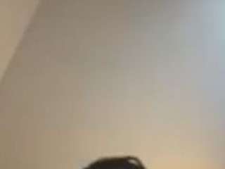 kingchiskiedd