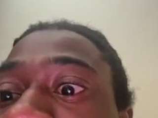 kingchiskiedd