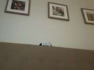 laceyx0x0