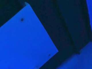 stela-ebony