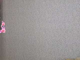 lina live webcam show