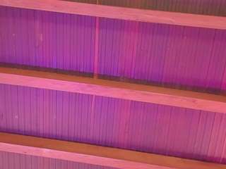 ninavega