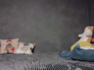 phebebee