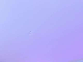 damian-tay Sex Cam Show
