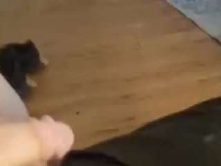 cansoda89 Sex Cam Show