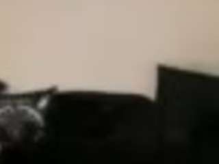 i-love-bunny live webcam show