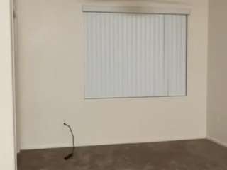Bunny live webcam show