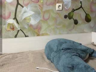 yajairahazelbush