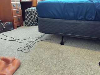 amethystfoxx