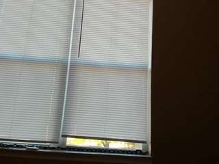 amethystfoxx