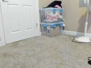 AmethystFoxx