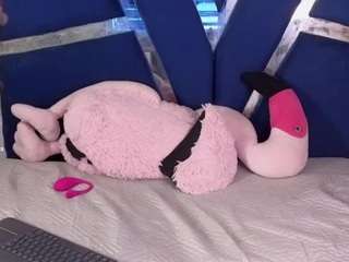 alondraferrer live cam preview