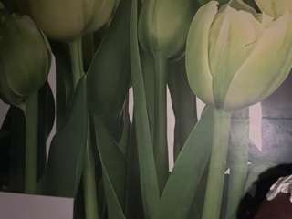 BeaPeria
