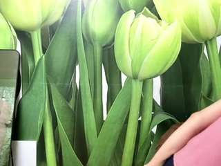 BeaPeria