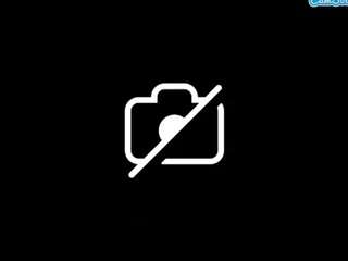 sexyaleigha262 Sex Cam Show