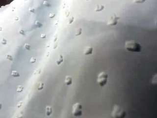 ShellieBuja live cam preview