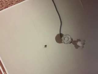 ShellieBuja live cam preview