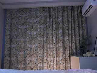 elverapitter